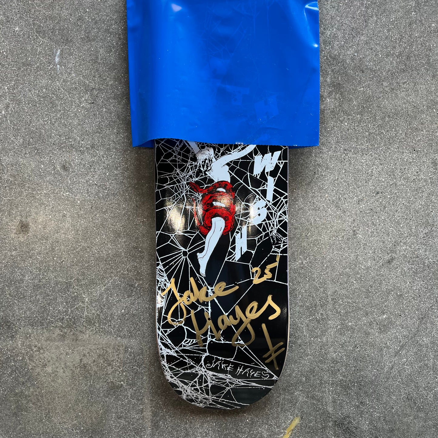 SIGNED Jake Hayes Wallride Exclusive Blind Bag Skateboard Deck
