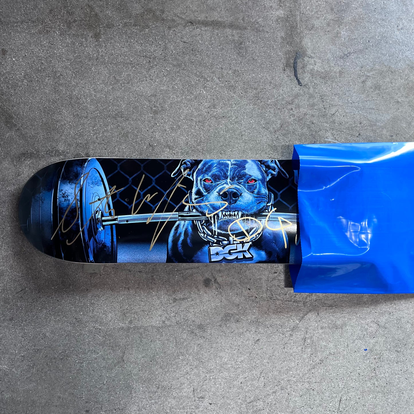 SIGNED Stevie Williams Wallride Exclusive Blind Bag Skateboard Deck